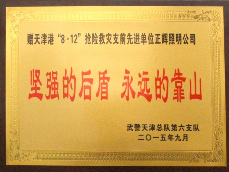 天津搶險救災(zāi)先進(jìn)單位